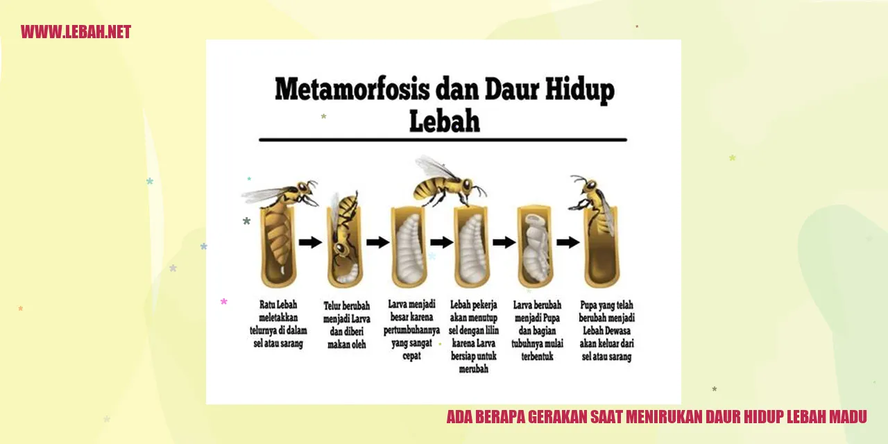 Gambar Lebah Madu