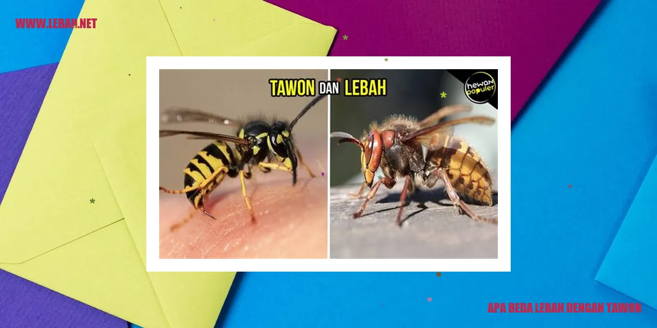 gambar lebah dan tawon