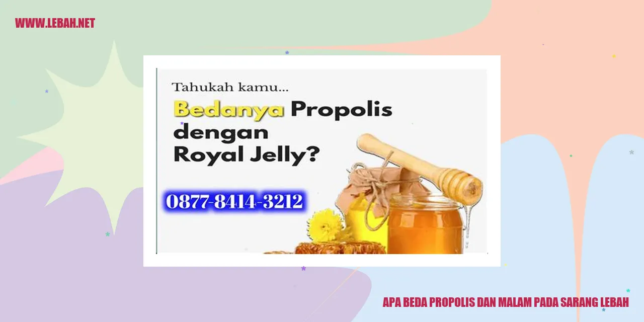 Propolis pada sarang lebah