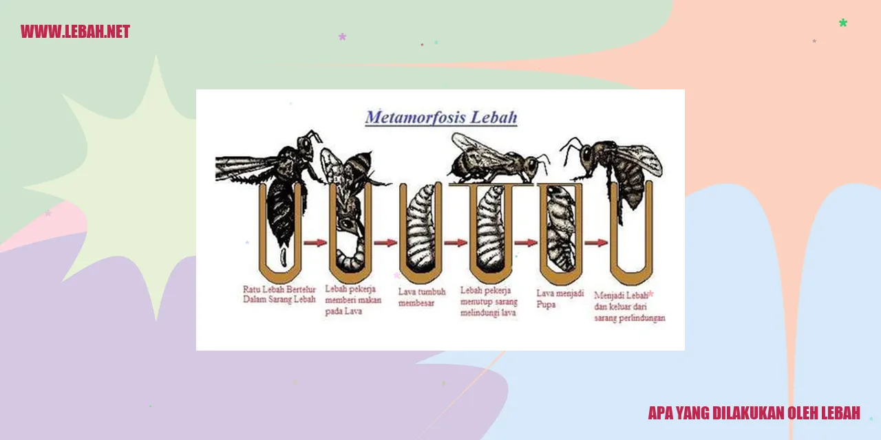 Penyerbukan oleh Lebah