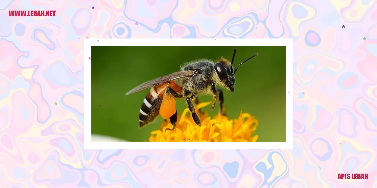 Apis Mellifera