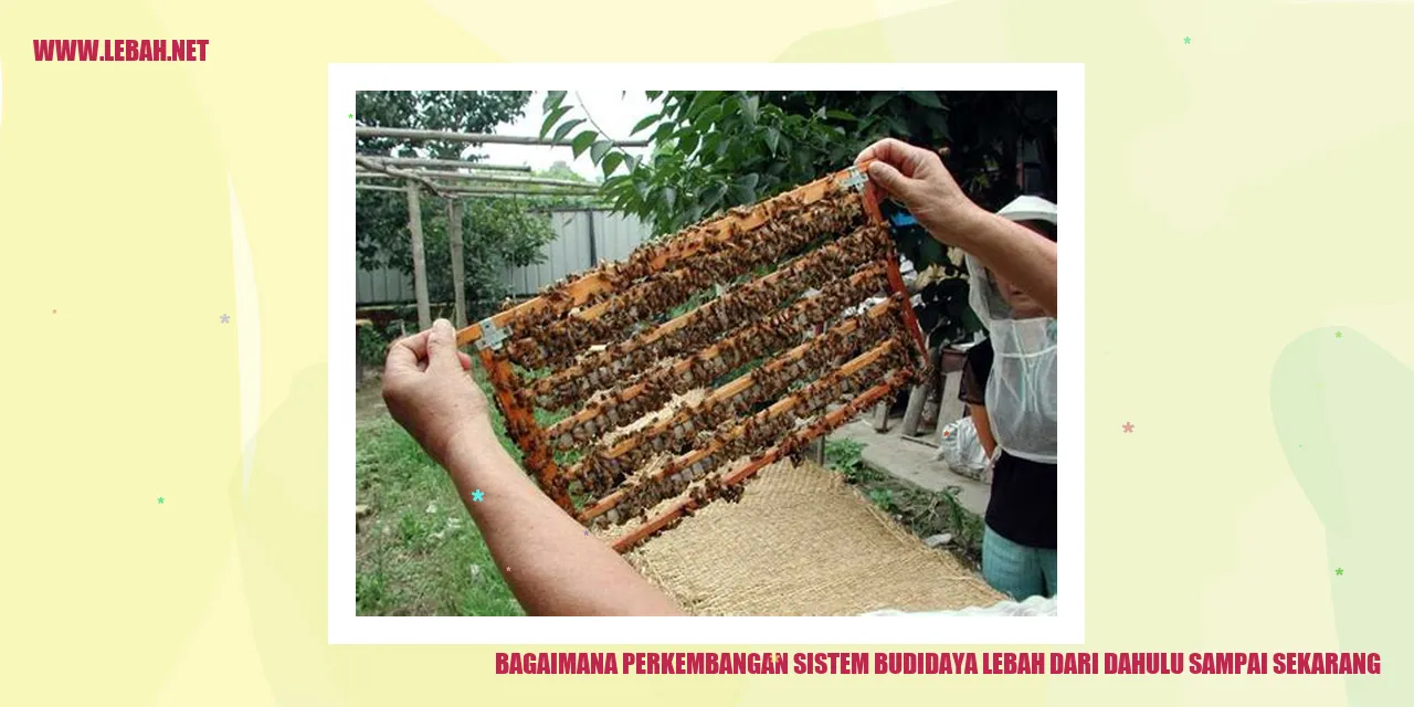 perkembangan sistem budidaya lebah