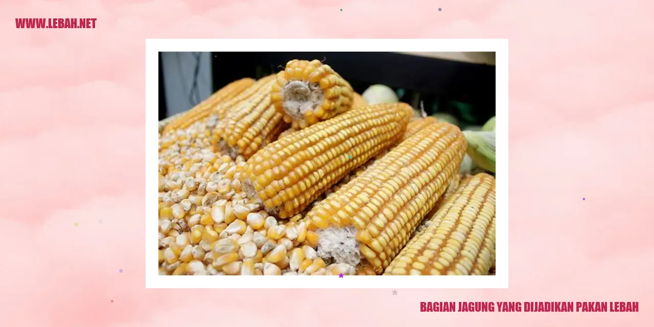 Bagian Jagung yang Dijadikan Pakan Lebah