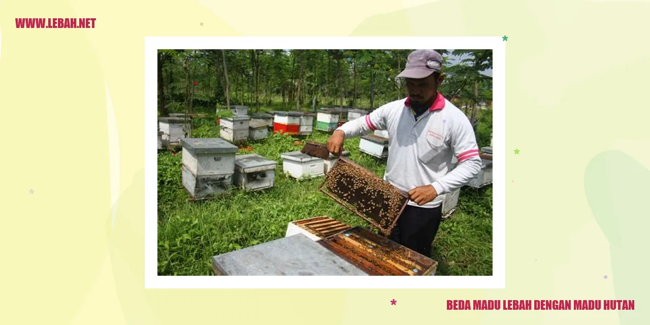 bergerak lucu madu lebah dan madu hutan