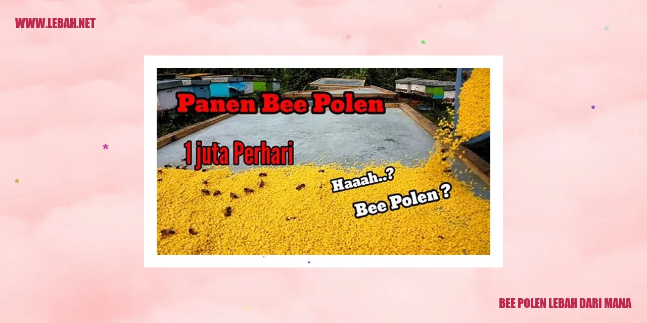 bee pollin