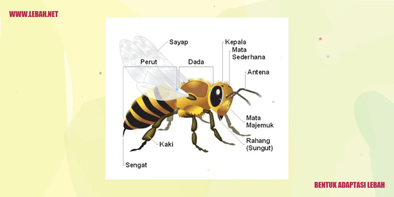 Bentuk Adaptasi Lebah