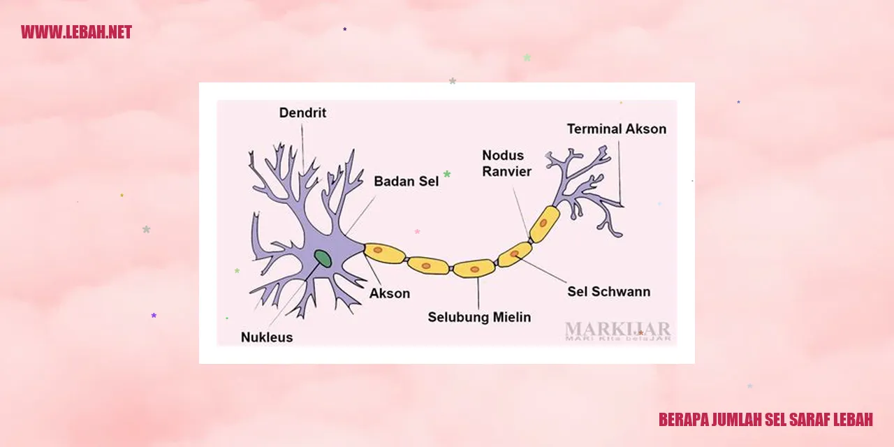 Sel Saraf Lebah
