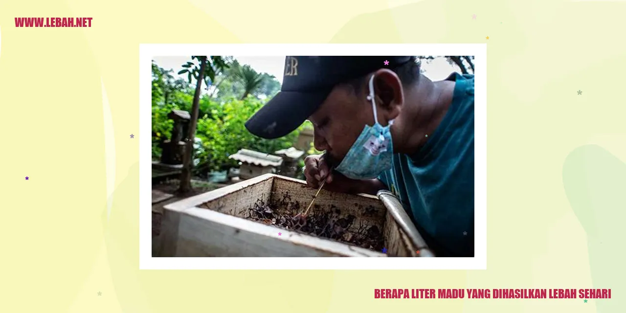 Berapa Liter Madu yang dihasilkan Lebah Sehari