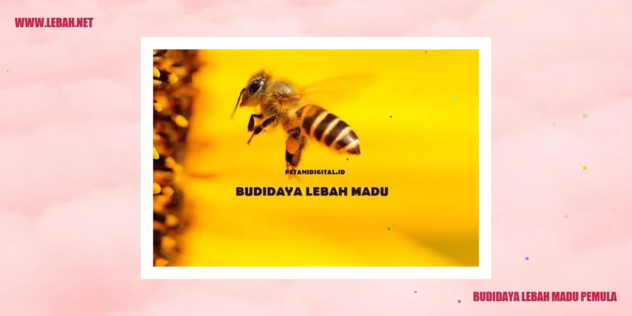 budidaya lebah madu