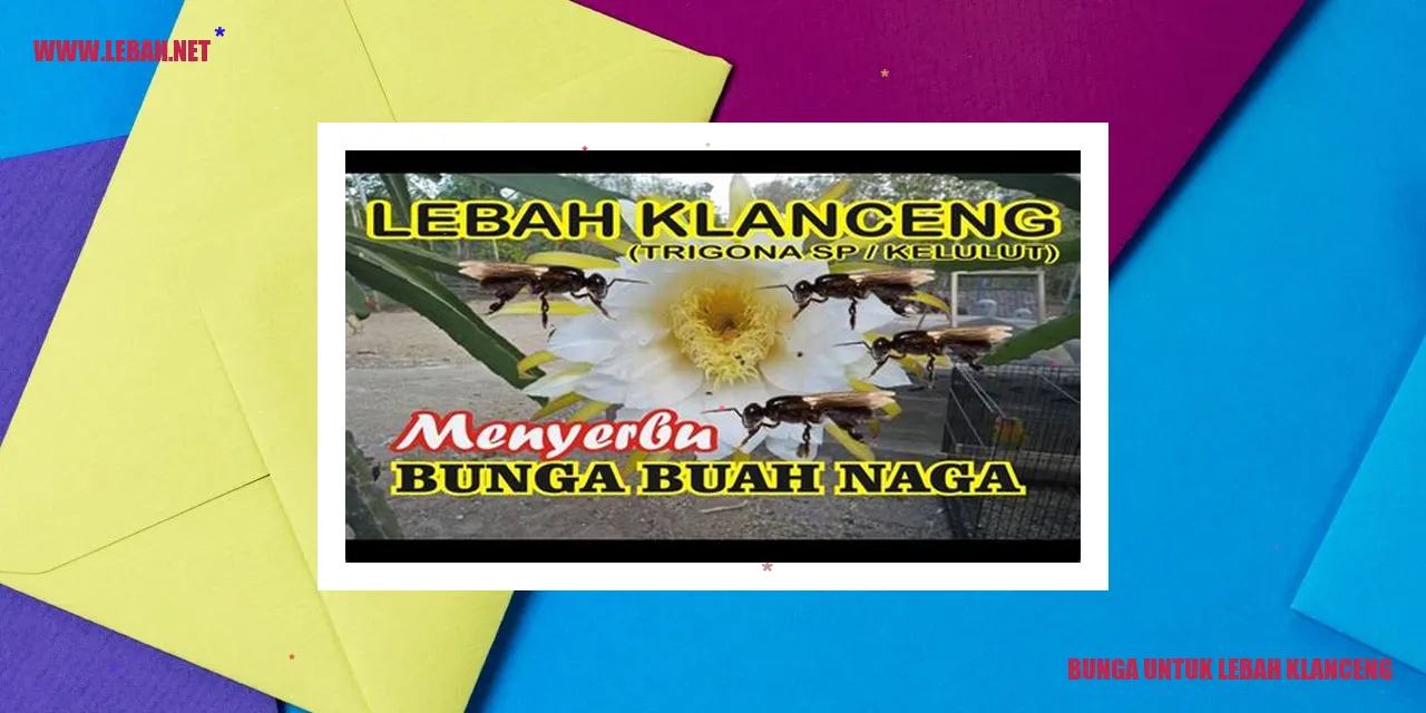 Bunga untuk Lebah Klanceng