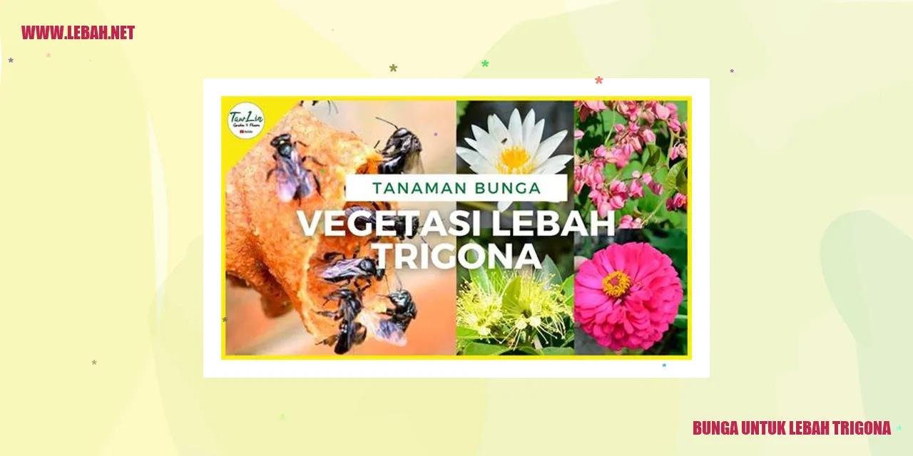 Bunga untuk Lebah Trigona