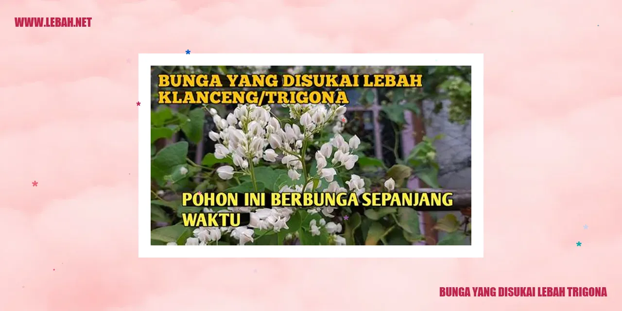 Bunga yang Disukai Lebah Trigona