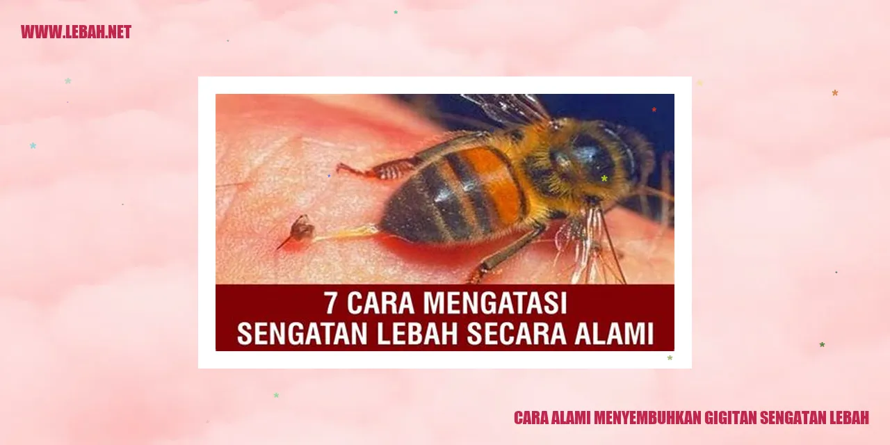 Cara Alami Menyembuhkan Gigutan Sengatan Lebah