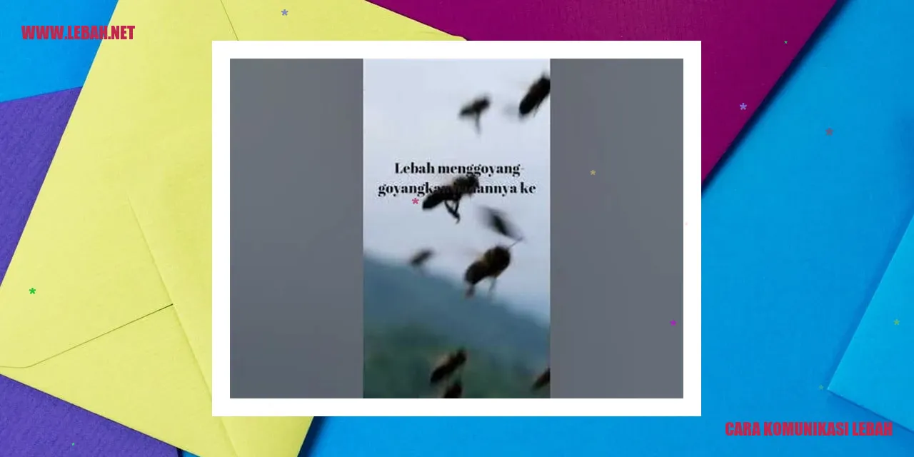 lebah yang berkomunikasi