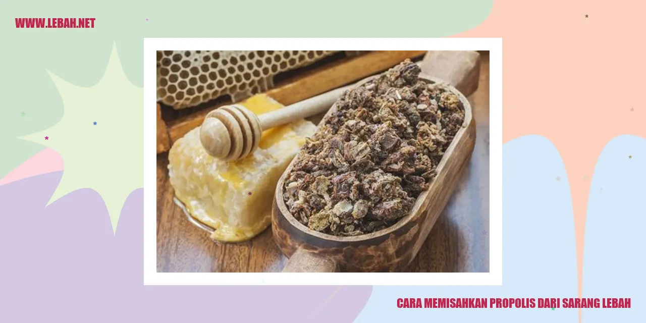 gambar propolis