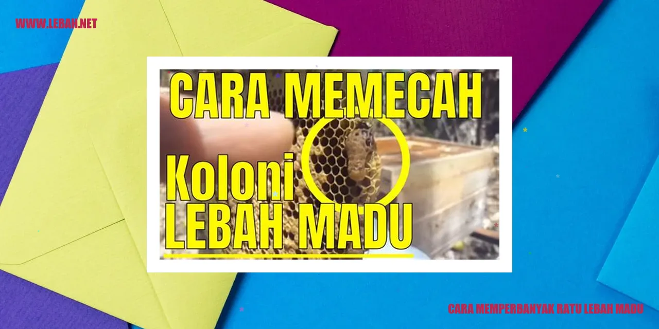 Cara Memperbanyak Ratu Lebah Madu