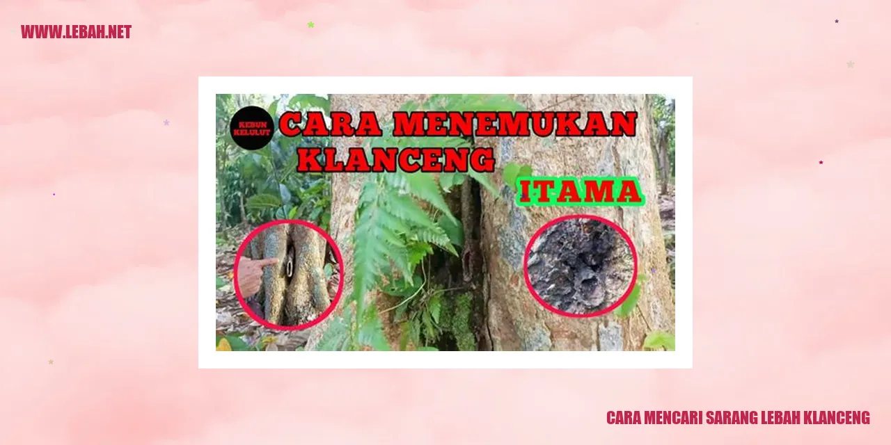 cara mencari sarang lebah klanceng