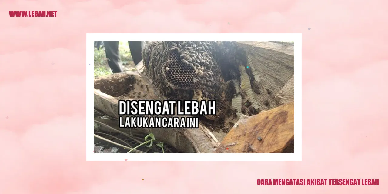 cara mengatasi akibat tersengat lebah