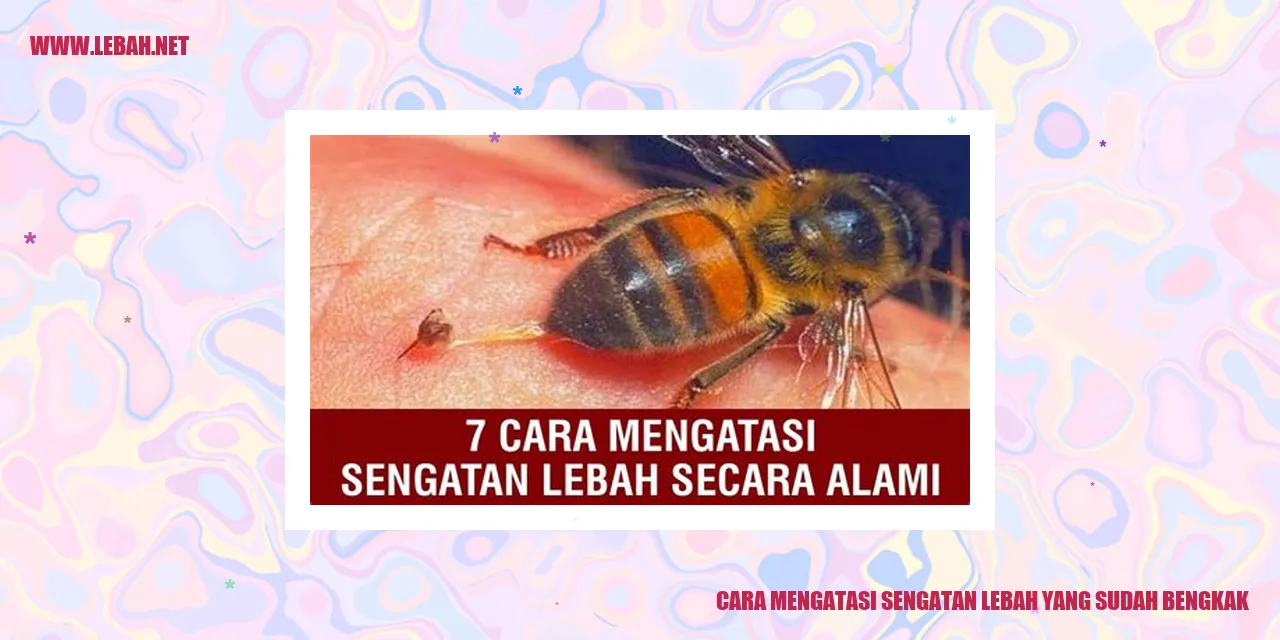 cara mengatasi sengatan lebah yang sudah bengkak