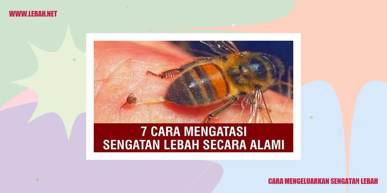 cara mengeluarkan sengatan lebah