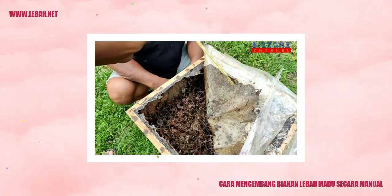 cara mengembang biakan lebah madu secara manual