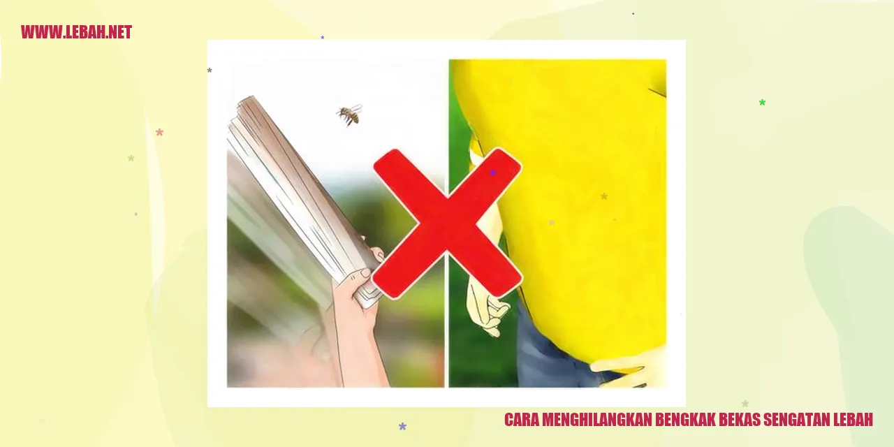 cara menghilangkan bengkak bekas sengatan lebah