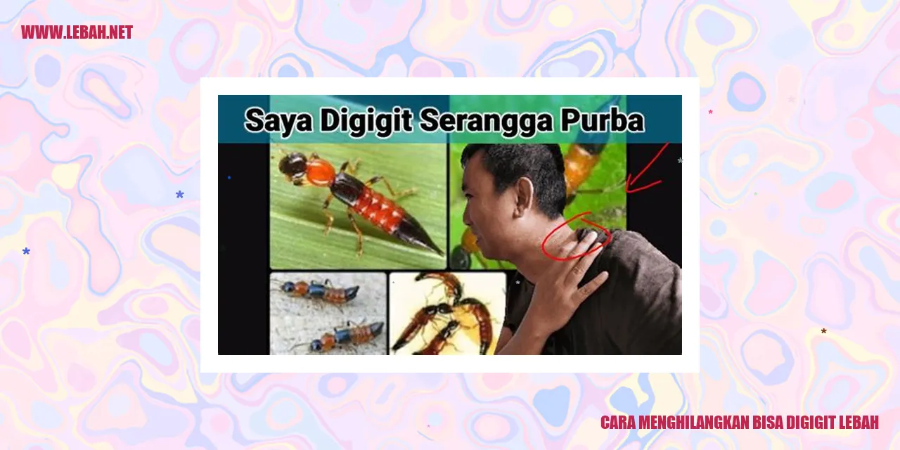 cara menghilangkan bisa digigit lebah