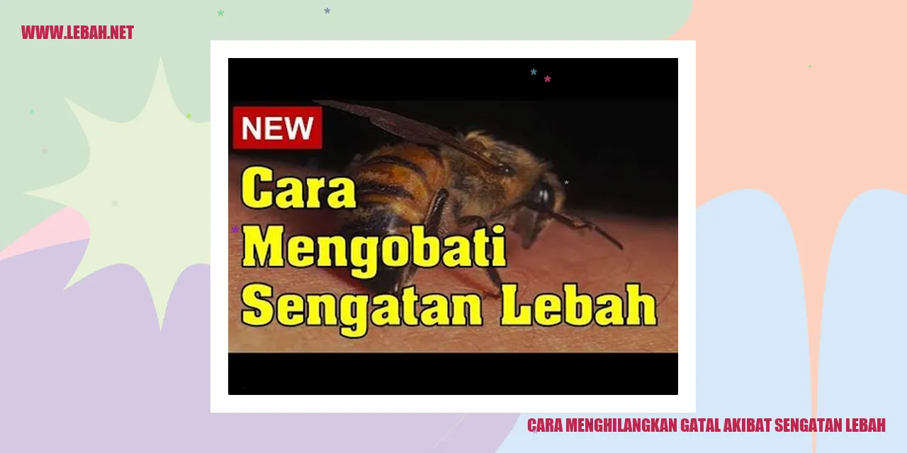 cara menghilangkan gatal akibat sengatan lebah