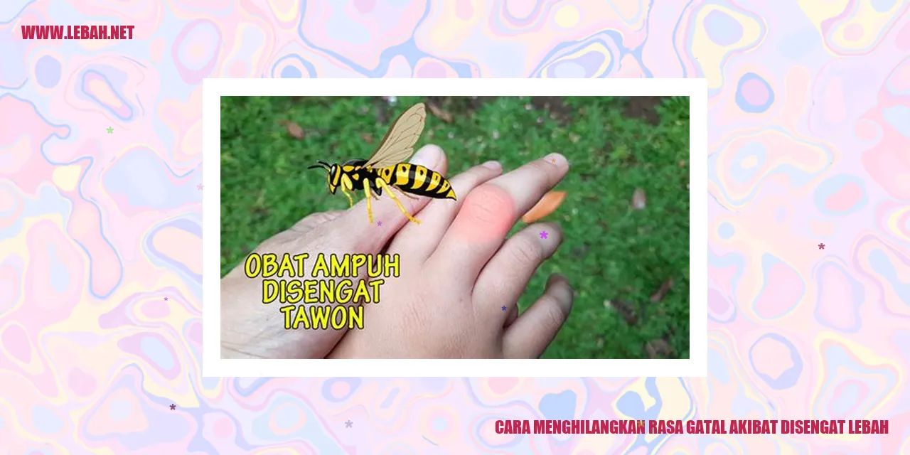 cara menghilangkan rasa gatal akibat disengat lebah