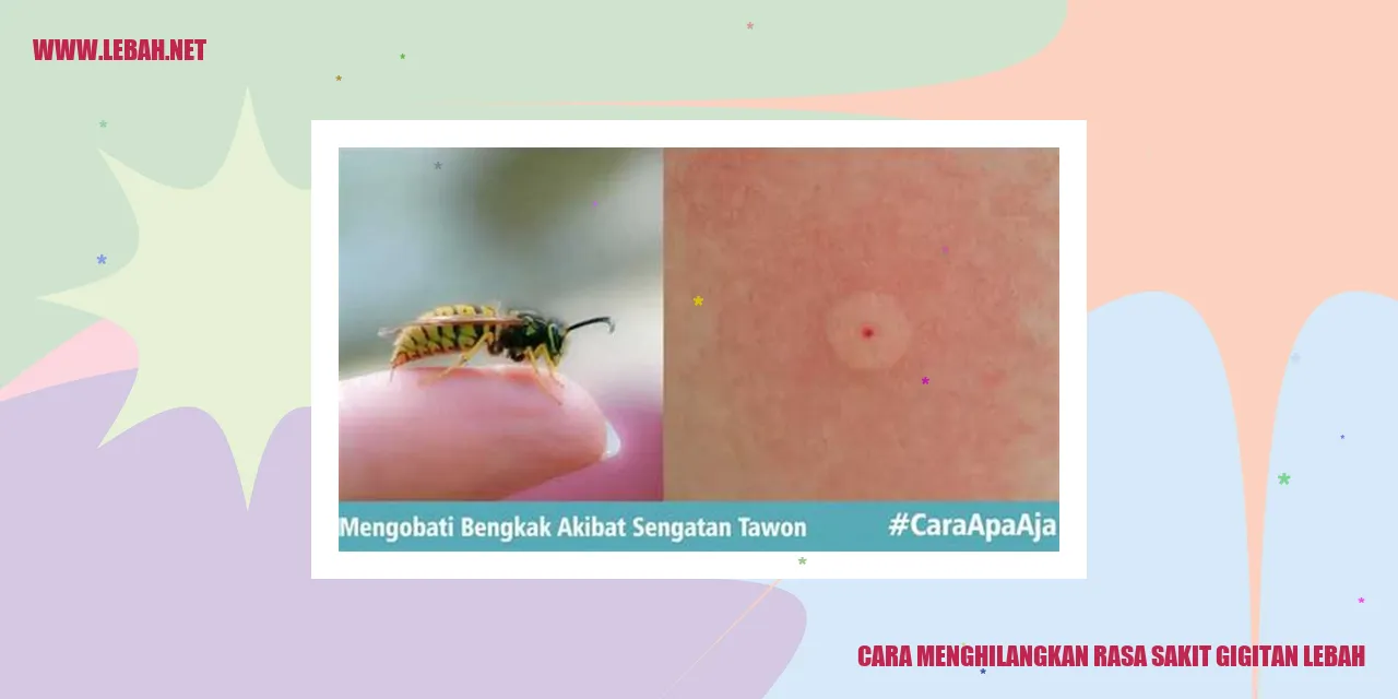 cara menghilangkan rasa sakit gigitan lebah