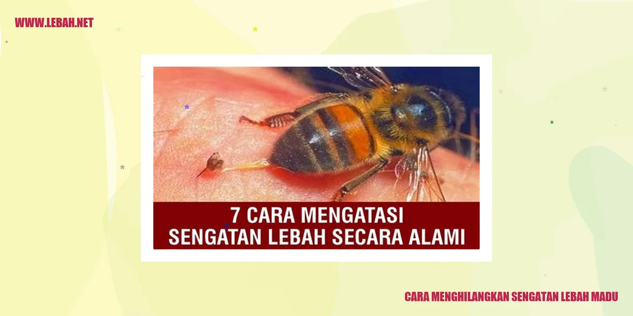 cara menghilangkan sengatan lebah madu