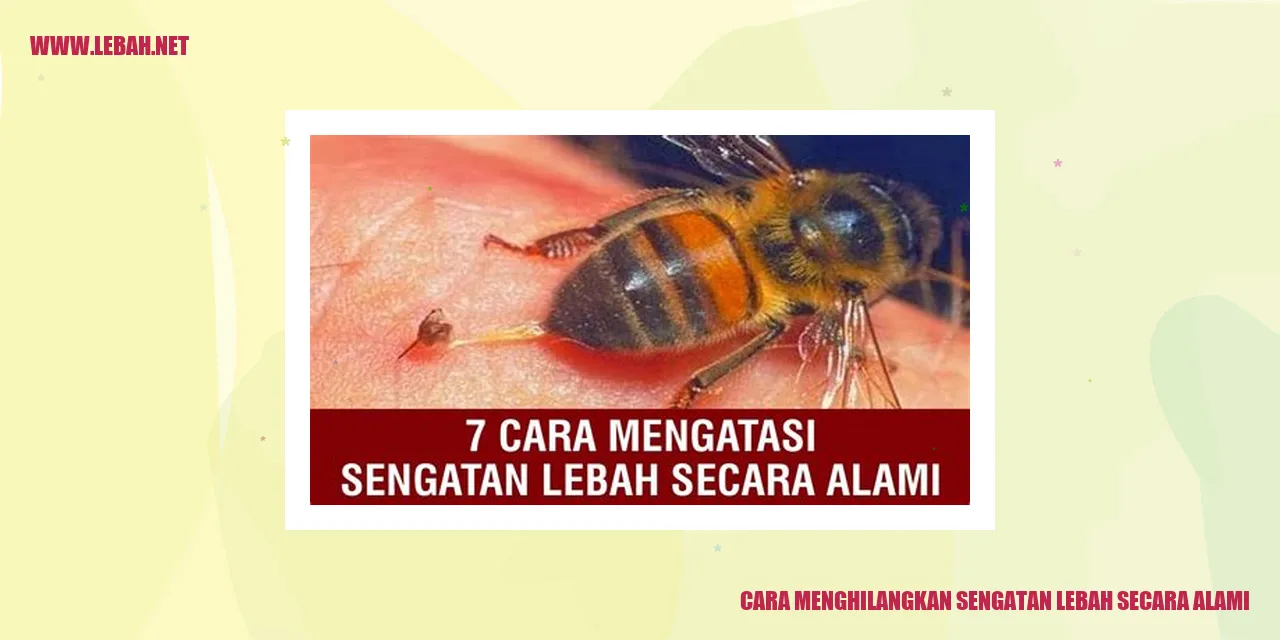 Cara Menghilangkan Sengatan Lebah dengan Lidah Buaya