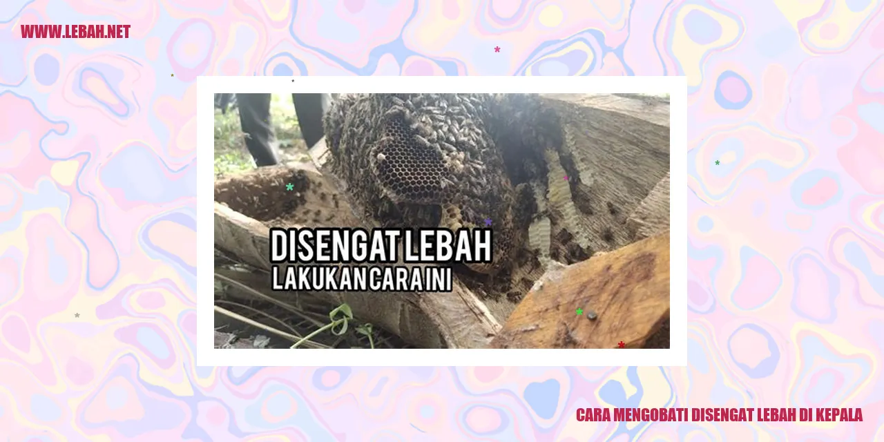 Cara Mengobati Disengat Lebah di Kepala