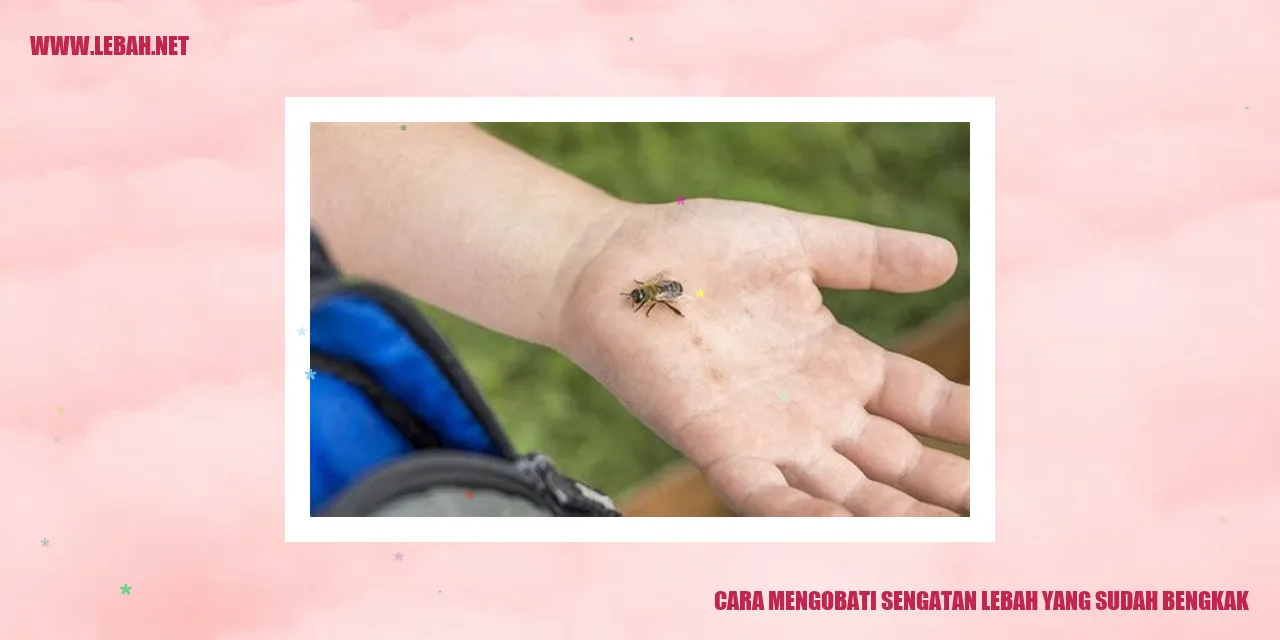 Cara Mengobati Sengatan Lebah yang Sudah Bengkak