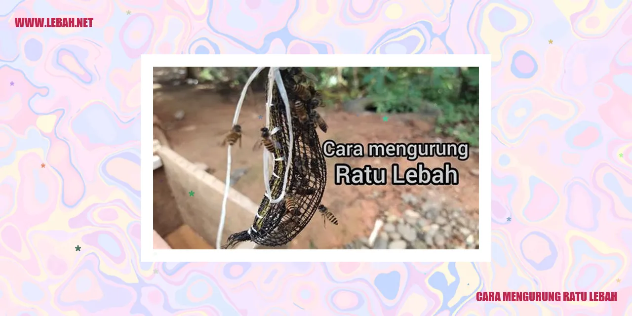 Cara Mengurung Ratu Lebah