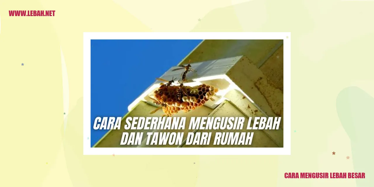 cara mengusir lebah besar