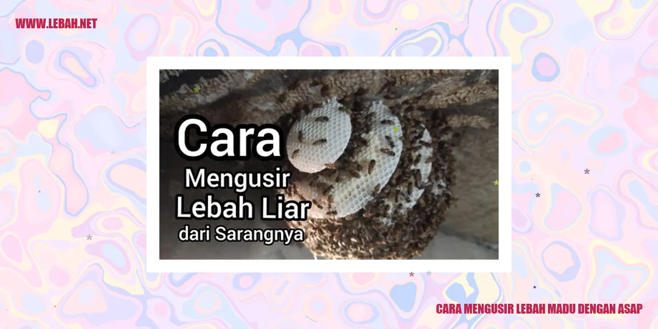 Cara Mengusir Lebah Madu dengan Asap