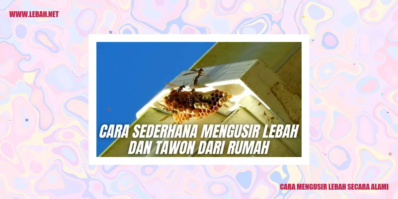 Cara Mengusir Lebah Secara Alami