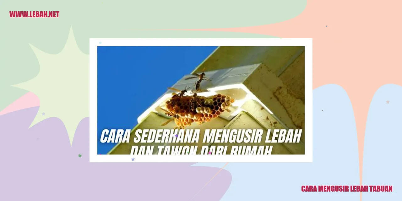 cara mengusir lebah tabuan