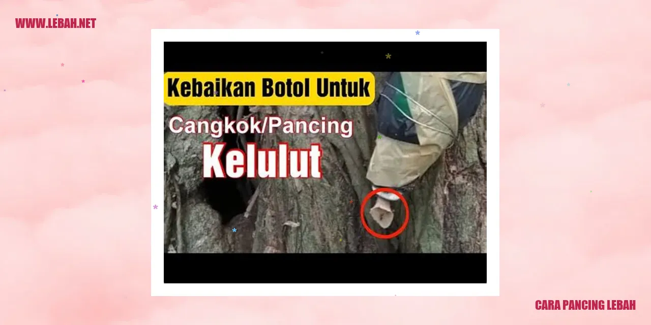 Alat pemancingan lebah