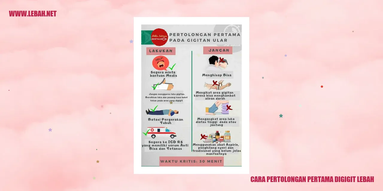 cara pertolongan pertama digigit lebah