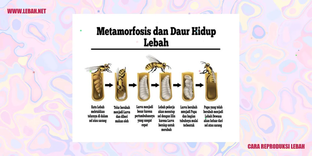 Cara Reproduksi Lebah