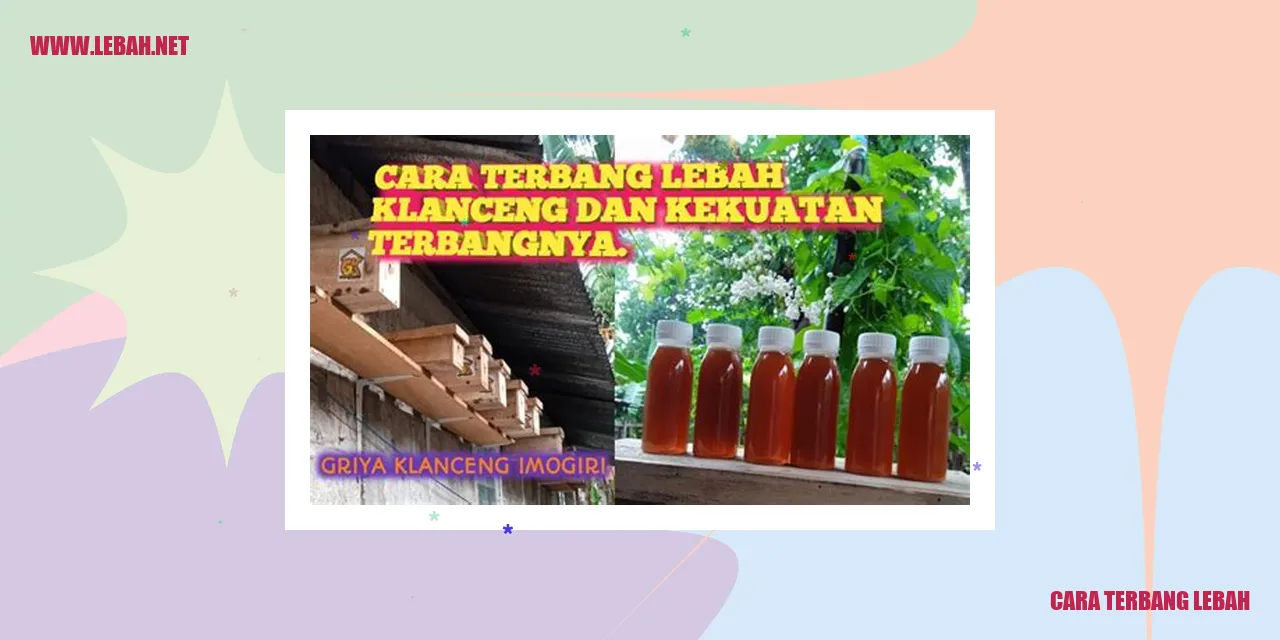 cara terbang lebah