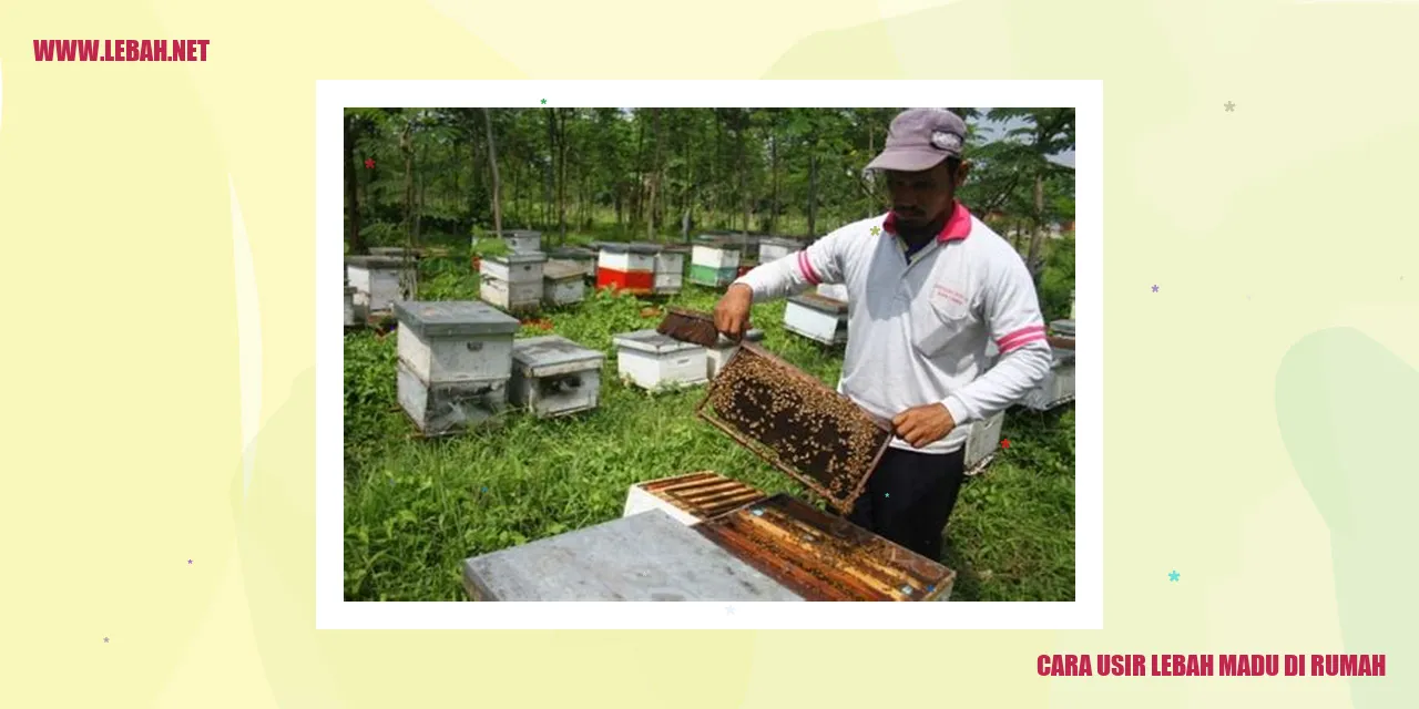 cara usir lebah madu di rumah