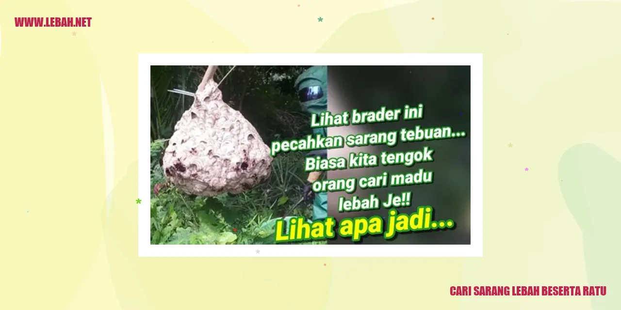 Cari Sarang Lebah beserta Ratu