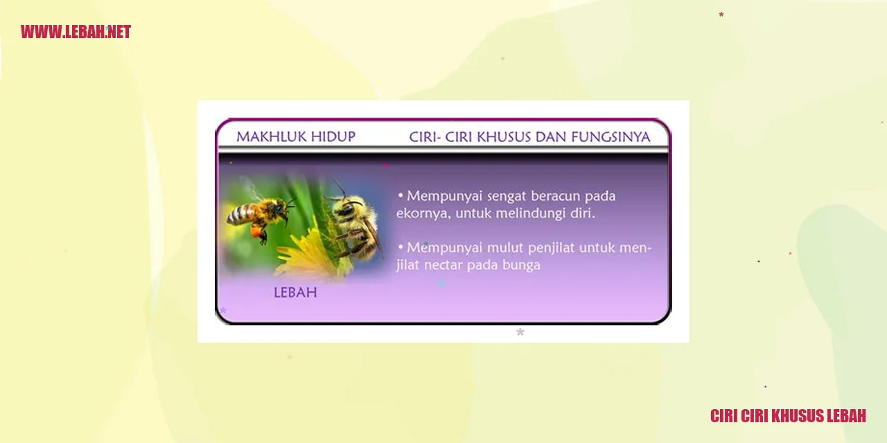 Ciri-Ciri Khusus Lebah