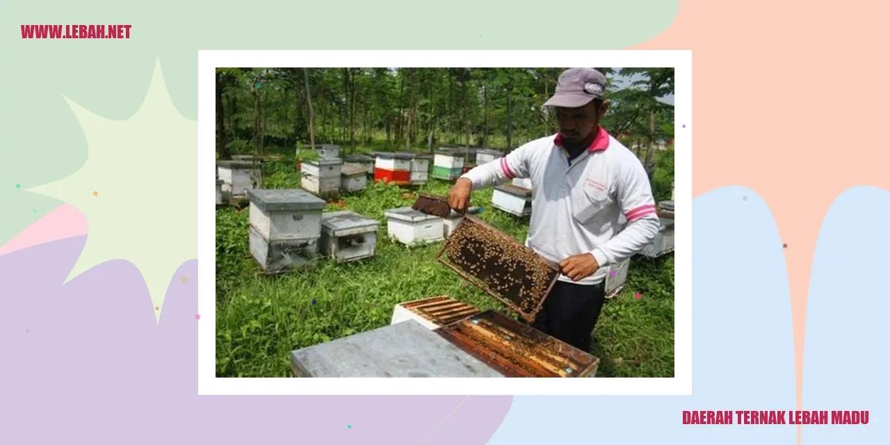 daerah ternak lebah madu