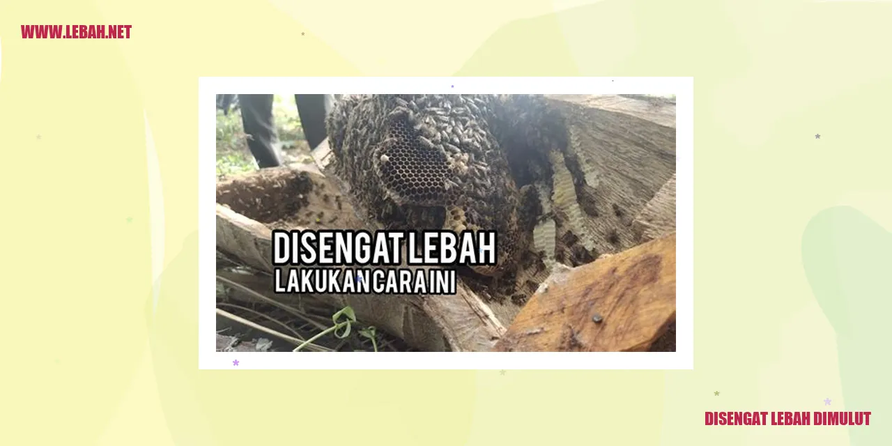 disengat lebah dimulut