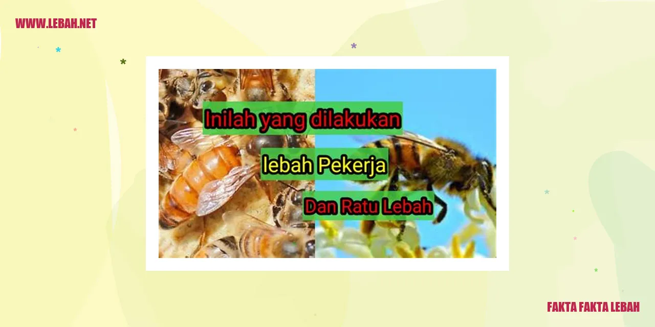 Lebah Menggunakan Tarian untuk Berkomunikasi