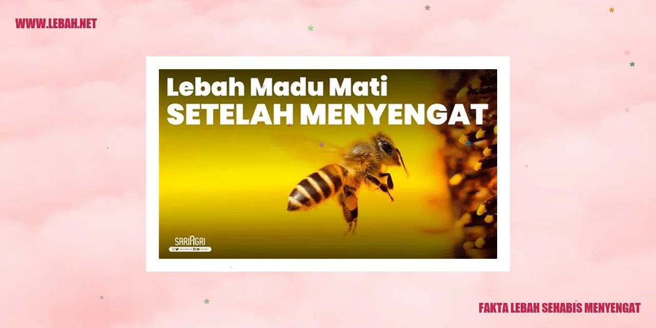 fakta lebah sehabis menyengat